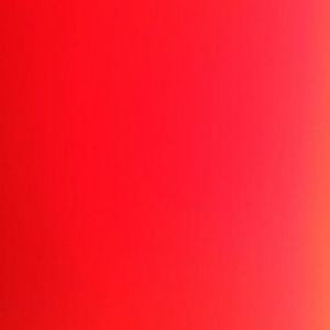 Meet your Posher, Judith